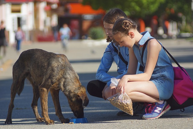 Can a Child Be Prosecuted Under Dutch Criminal Law? Can a Child Be Prosecuted Under Dutch Criminal Law?