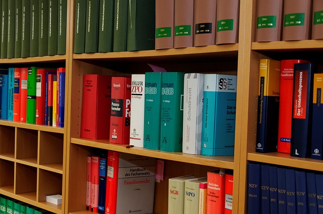 What Is the Age of Criminal Responsibility in the Netherlands? What Is the Age of Criminal Responsibility in the Netherlands?